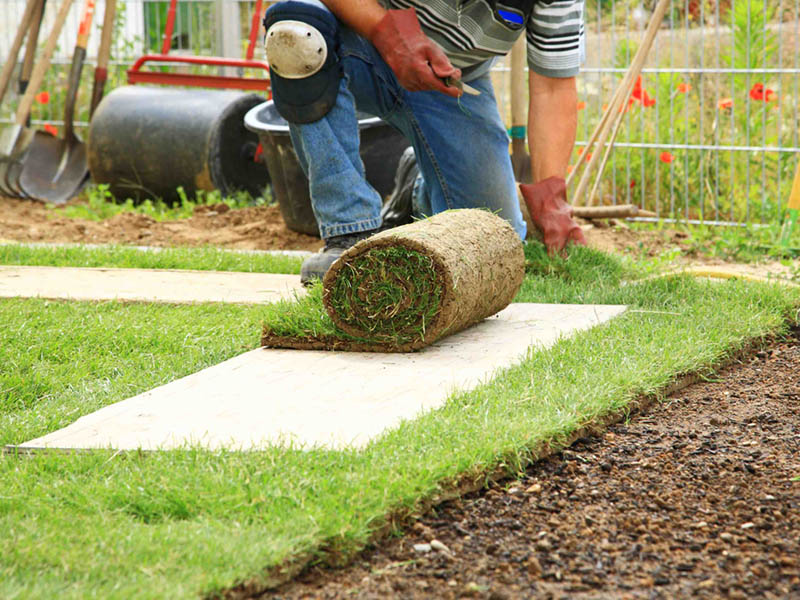 Graszoden leggen in Arnhem Graszoden leggen in Arnhem